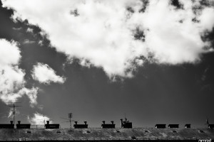 热血女足世界杯直播,铿锵玫瑰能否再创辉煌