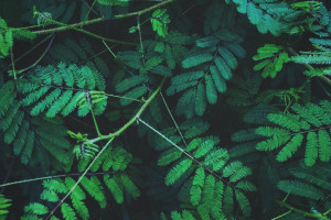 2026世界杯，不仅仅是足球，更是国家荣誉！