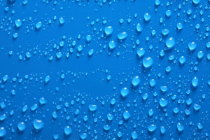 转会传闻满天飞,夏日休赛期有哪些大动作 转会传闻满天飞,夏日休赛期有哪些大动作